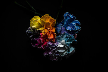 Kolorowe kwiaty na czarnym tle &ndash; elegancka, kontrastowa kompozycja florystyczna