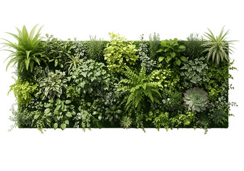Lush vertical garden with diverse plant life