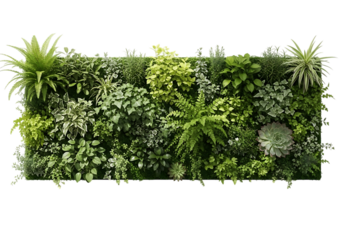 Lush vertical garden with diverse plant life