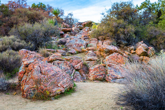 Painted rocks along Panorama Loop Trail Joshua Tree