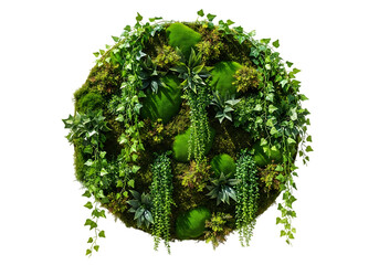 Lush green moss wall art