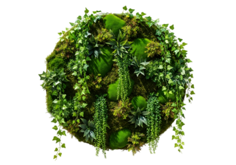 Lush green moss wall art