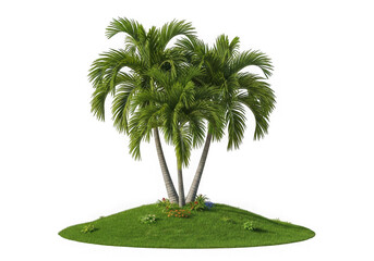 Three palm trees on a small hill, isolated on transparent background