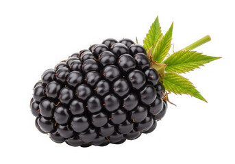 Blackberry with leaf isolated on transparent background