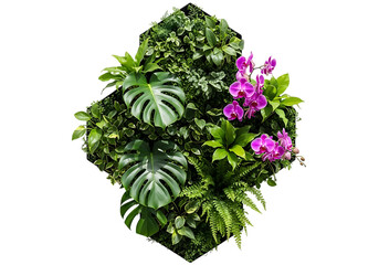 Vibrant indoor vertical garden with ferns and orchids
