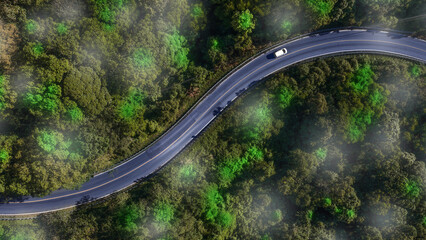 Forest road, road in beautiful autumn forest at sunset, trees with red and orange leaves, Beautiful landscape view from flying drone in Nature, Rainforest ecosystem, electric car driving, EV green