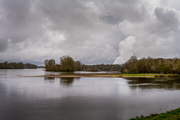 The confluence of the river Loire and the river Vienne in Candes-Saint-Martin, indre-et-Loire, France, in winter