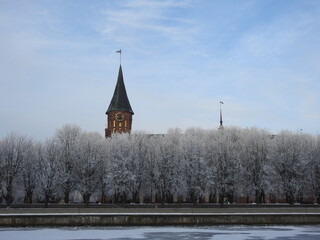 The cathedral tower behind the frozen trees. Kaliningrad, Russia
