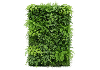 Lush green vertical garden