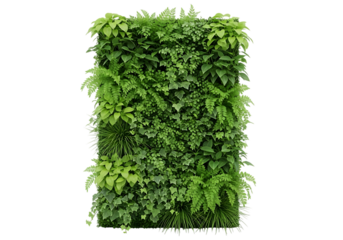 Lush green vertical garden