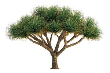 Stylized tree tan trunk, green spiky leaves against black