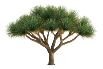 Stylized tree tan trunk, green spiky leaves against black