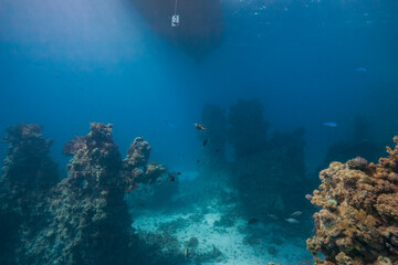 Underwater view beneath a boat showing coral reef formations rising from the seabed in deep blue water, with tropical fish swimming through shafts of sunlight filtering from the surface above.