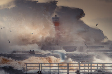 Stormy Seas with Dramatic Waves and Seabirds