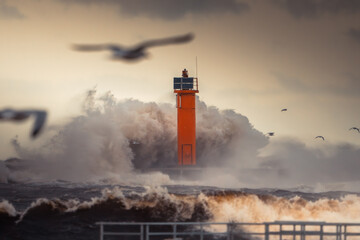 Lighthouse with Seagulls in Stormy Ocean Waves