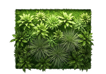 Lush green wall with diverse plant life