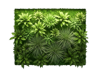 Lush green wall with diverse plant life
