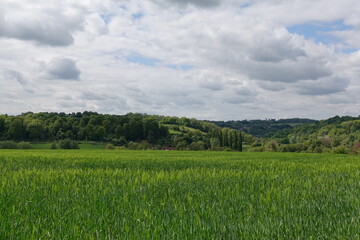 Lush green field and valley in the countryside