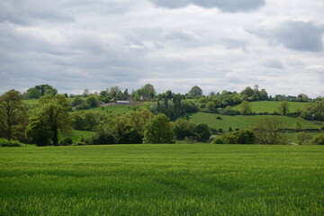 Lush green field and valley in the countryside