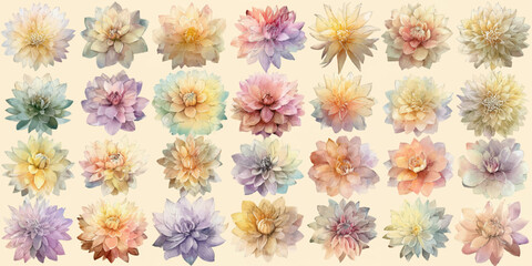A collection of various dried wildflowers arranged on a white background, showcasing different types of flowers in a natural and rustic style.