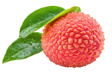 Spiky lychee fruit with two vibrant green leaves beside it