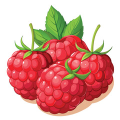 Three bright red raspberries with shiny highlights and green leaves