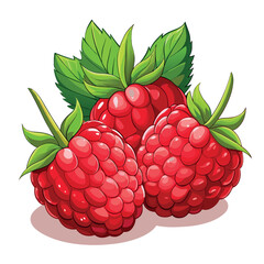 Three bright red raspberries with shiny highlights and green leaves
