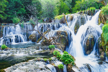 waterfall in the forest © aldin