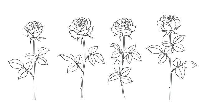 Set of four rose line art drawings with stems and leaves showing different angles of bloom in black ink for coloring.
