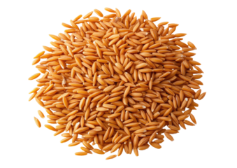 Pile of brown, oval orzo pasta grains