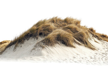 Sandy dune topped with wavy, brown grass against black void