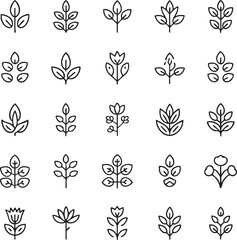 Collection of black and white leaf and plant botanical