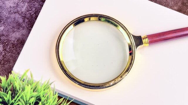 A magnifying glass slowly clarifies the words VISION STATEMENT on a white surface. Lush green foliage peeks from the side, inviting fresh perspectives