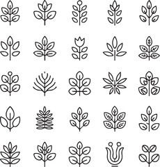 Collection of various plant and leaf in black and white