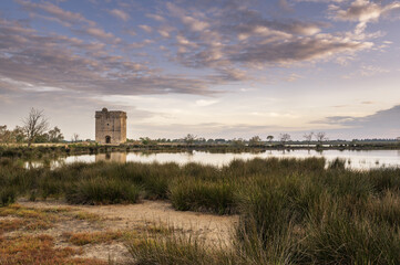 Sunrise on Camargue la&ndscape in south of France