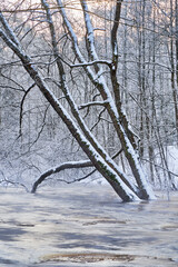 river in cold winter day
