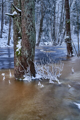 river in cold winter day