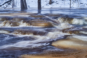 icy stream in the forest