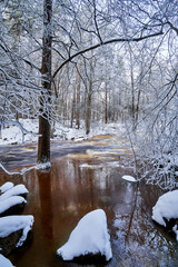 Flooding ice covered river in very cold winter day