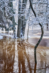 Flooding ice covered river in very cold winter day