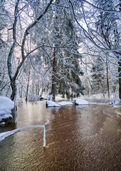 Flooding ice covered river in very cold winter day