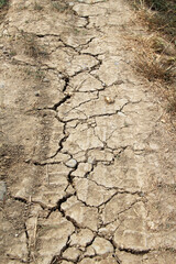 Cracked ground due to heat