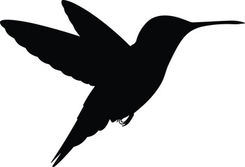 Hummingbird silhouette flying bird wildlife icon illustration isolated on white background, graceful nature animal symbol minimal vector design © MdShafe