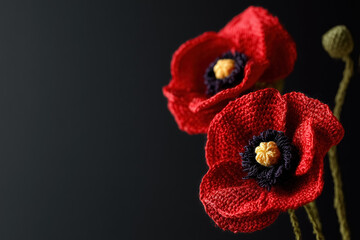 Two red crocheted poppy flowers on a dark background with copy space. Remembrance Day, Anzac Day, Armistice Day symbol. Lest We Forget.	
