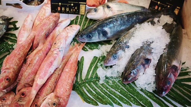 Assortment of whole fish laid on ice with green leaves at a market stall, showing variety and abundance of fresh seafood