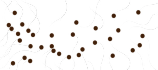 Abstract clean modern abstract composition featuring technology and connectivity Molecule Network With and Swirling wavey Lines on White surface  Background.