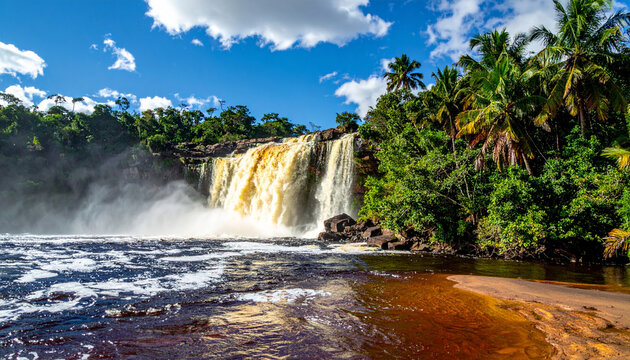 Powerful waterfalls plunge into the calm tannin water of Canaima lagoon surrounded by lush jungle and palm trees.