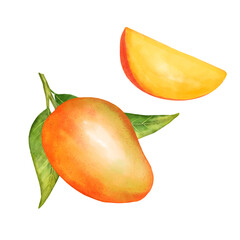 Hand-drawn illustration featuring a ripe whole mango, a bright yellow slice, and fresh green leaves.