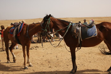 Great Pyramids of Giza Under Blue Sky