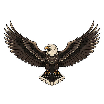 Majestic bald eagle with wings spread in symmetrical pose for power and freedom concept illustrations
